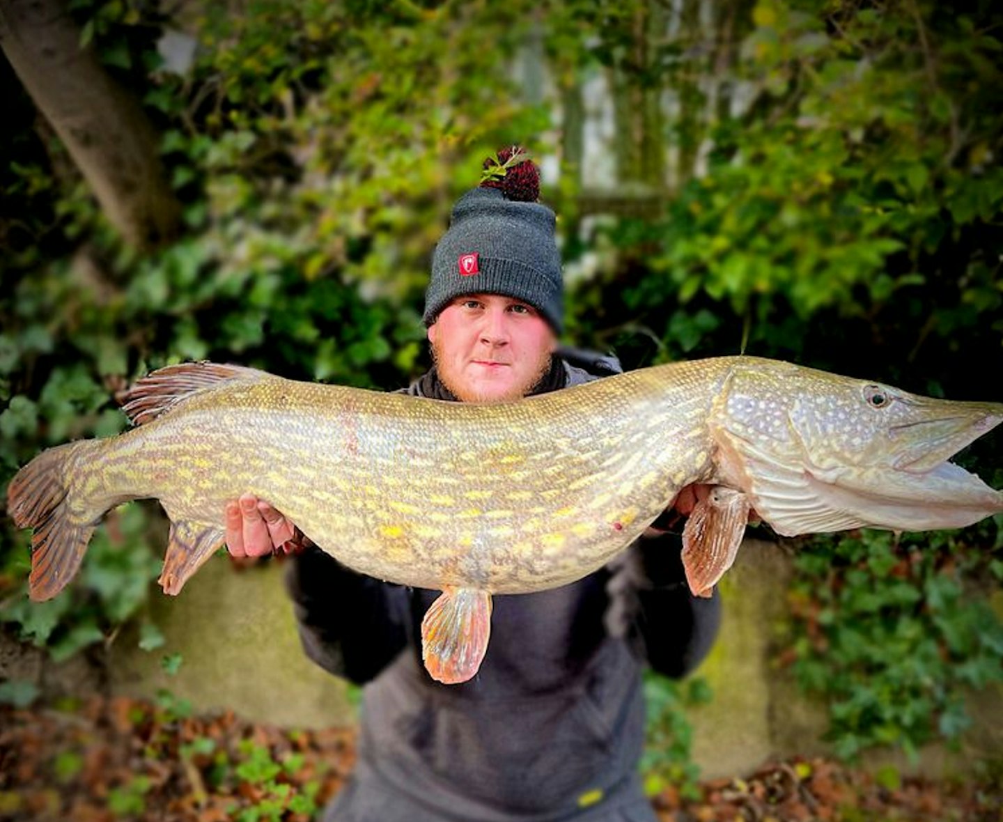 Brad Kitchen – 29lb 2oz pike