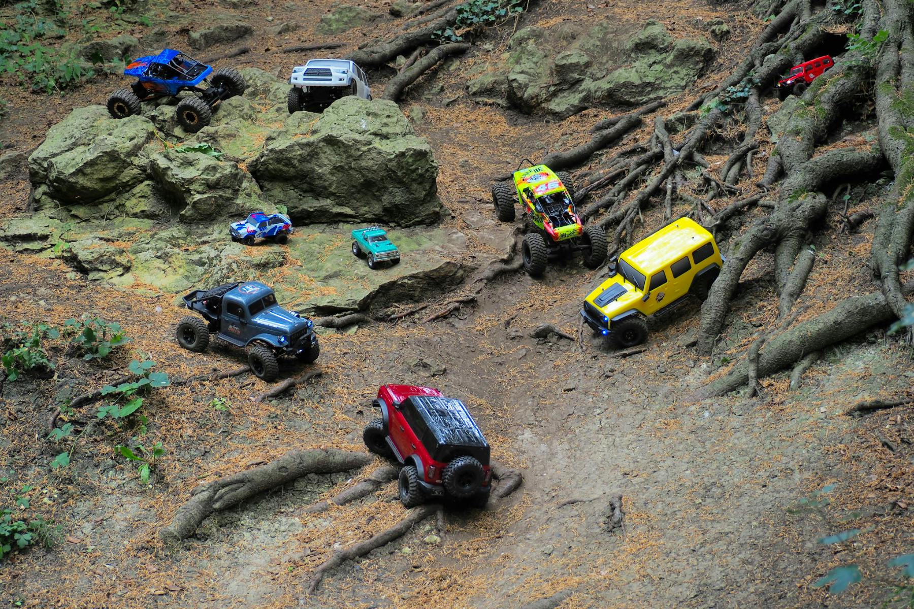 Best rc scale best sale crawler