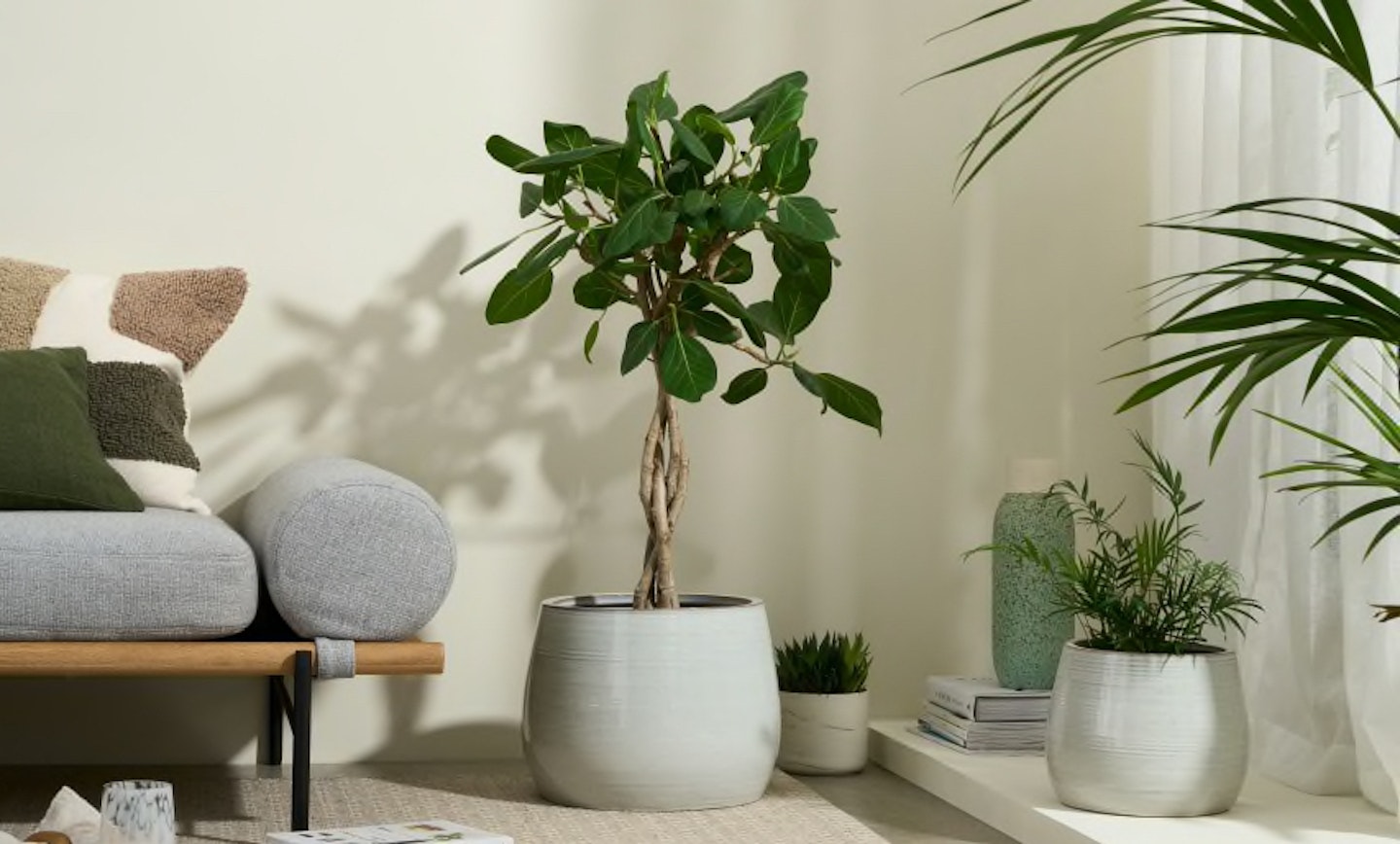 Make a statement: Best extra large pots for indoor & outdoor