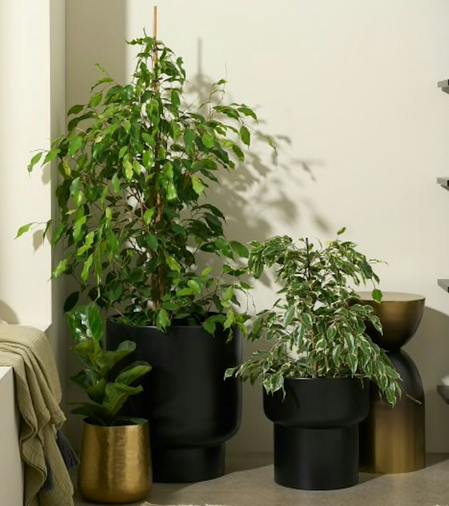 MADE, Shalin Set of 2 Planters, £90