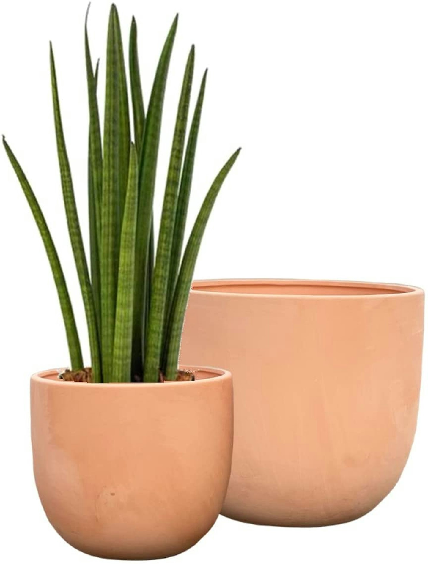 Amazon, Terracotta Plant Pots Set 22 and 17cm, £29.99
