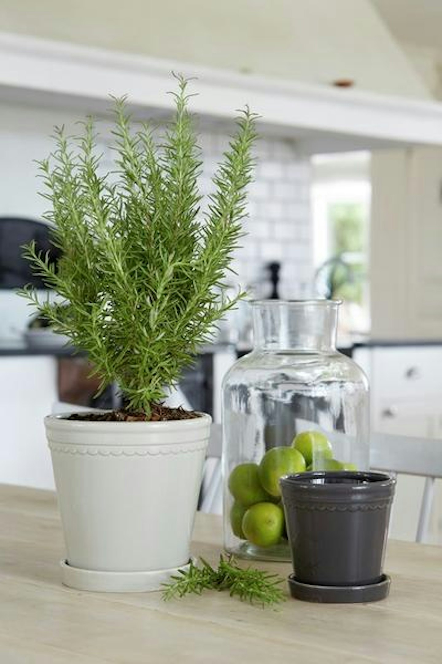 Trouva, Large Astrid Plant Pot with Saucer, £14