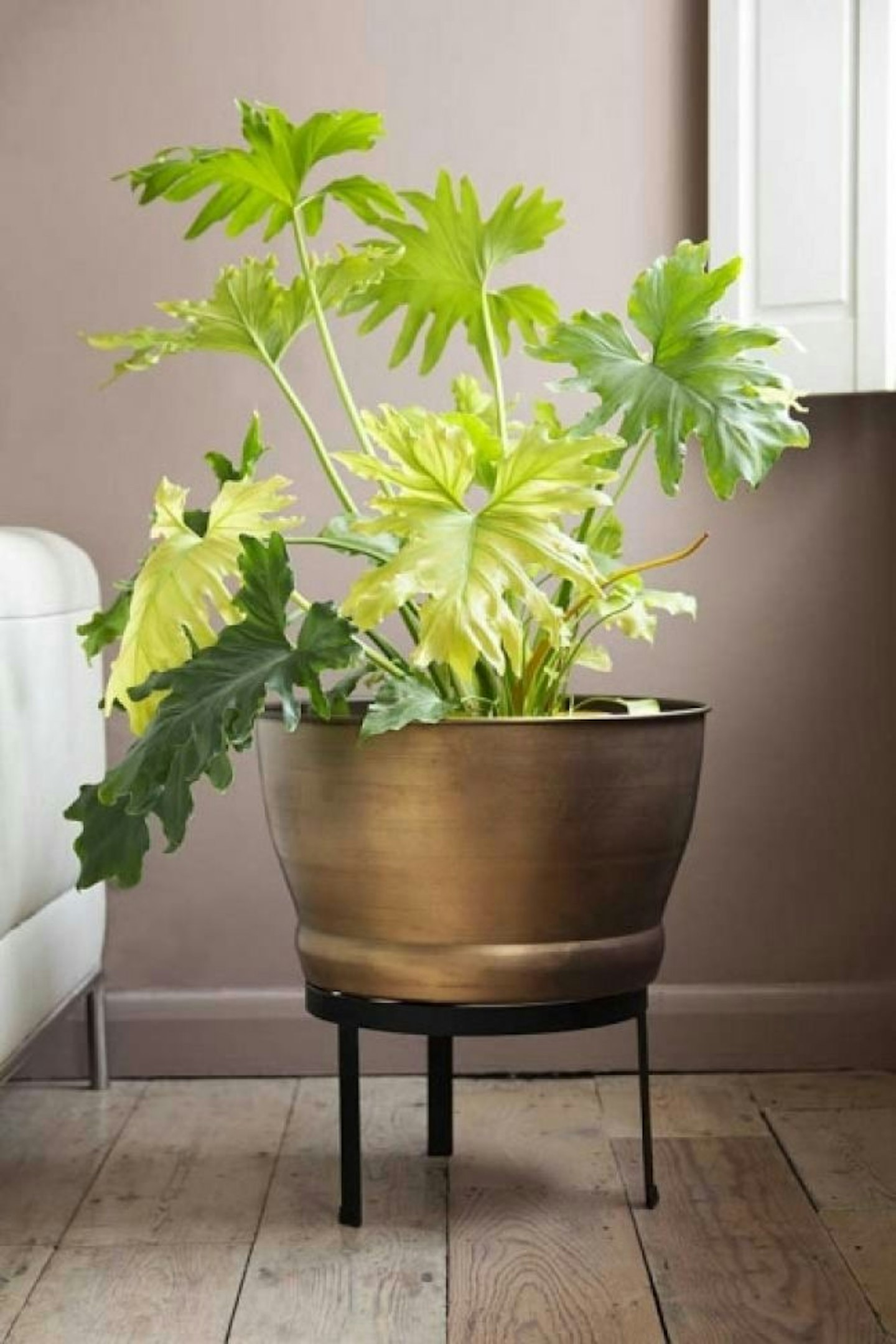 Rockett St George, Brass Effect Planter With Stand, £72