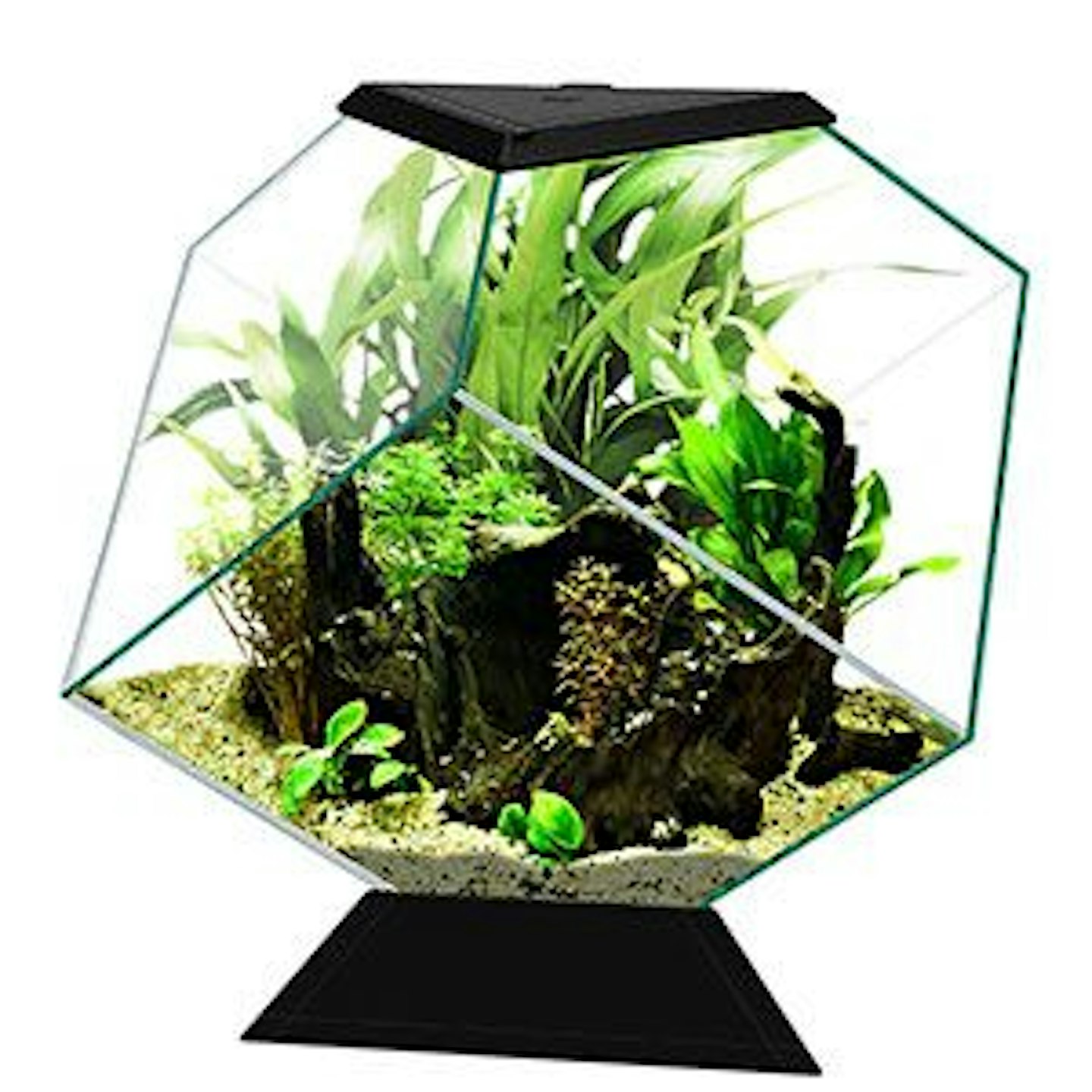 Ciano Nexus Diamond Aquarium 14 Litre