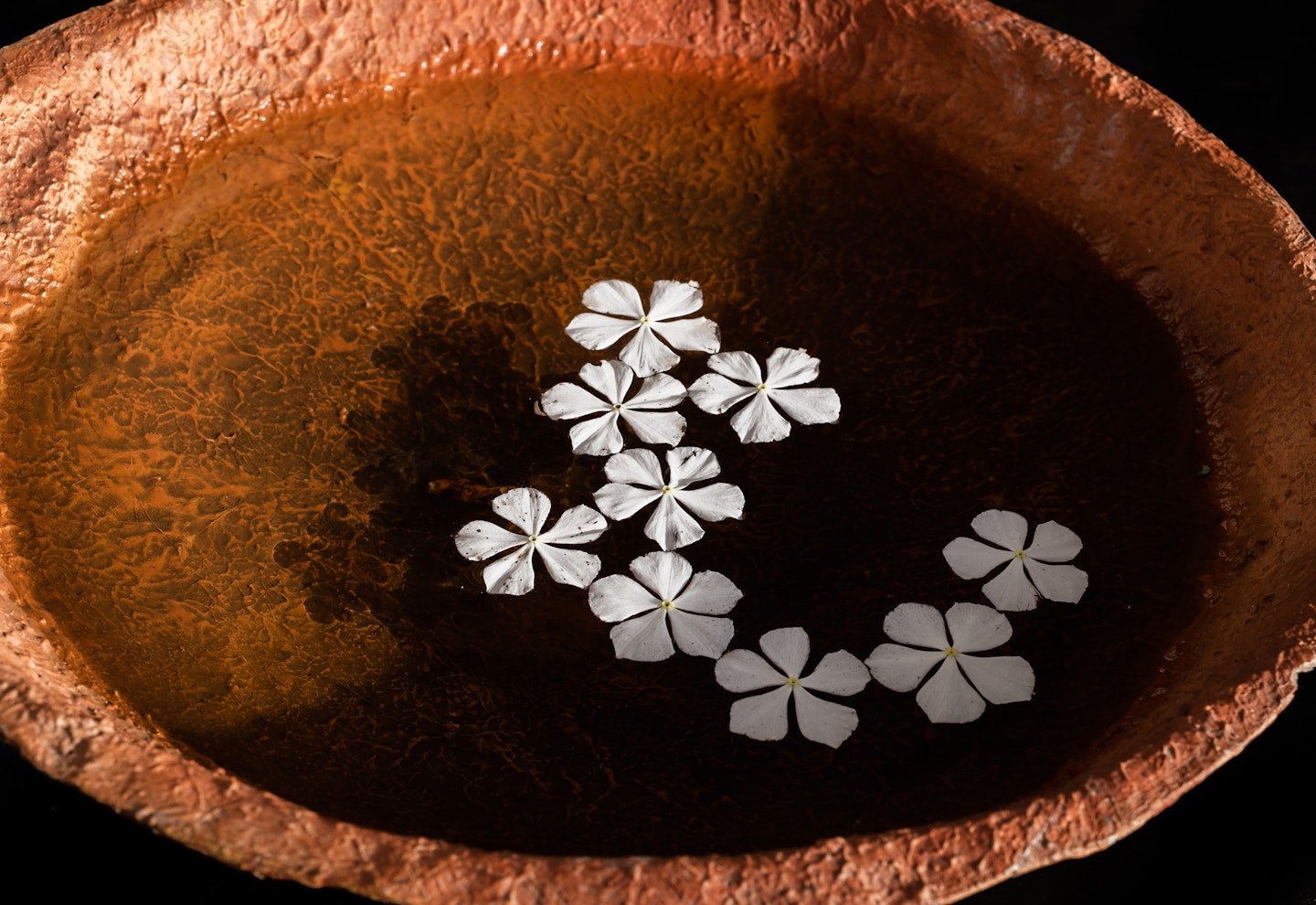 Garden water bowl