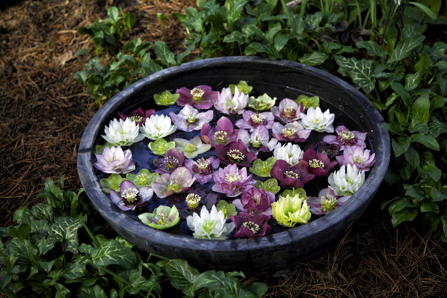 Garden water bowl with flowers