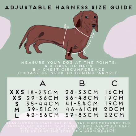 how do you measure a puppy for a harness