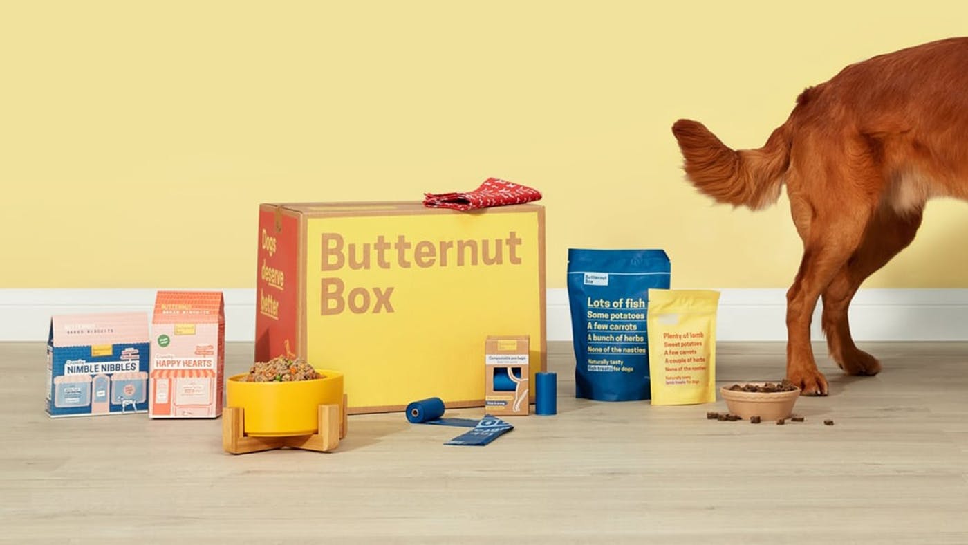 Butternut box dog food best sale