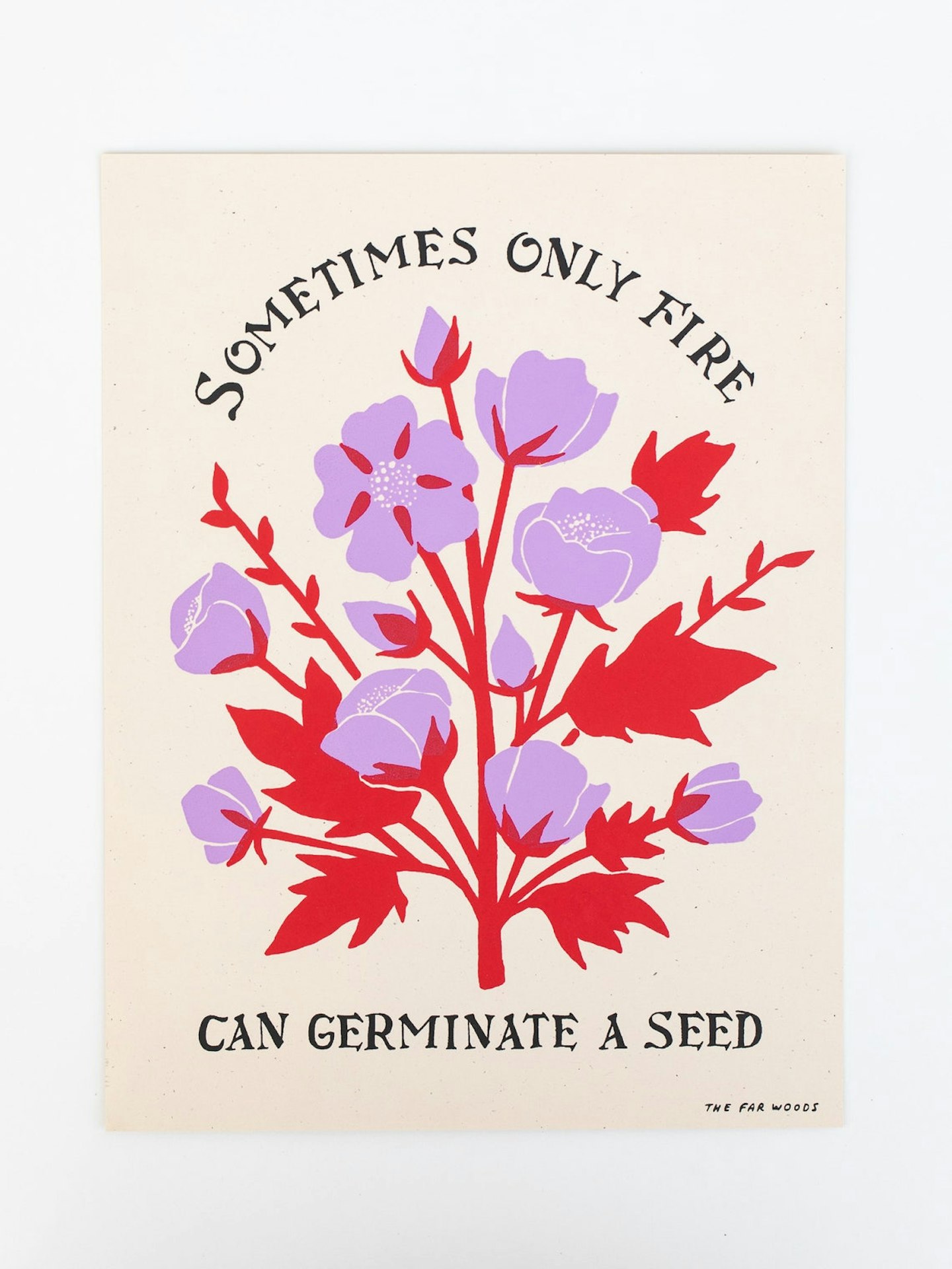 Etsy, Fire Seed Print, £31.52