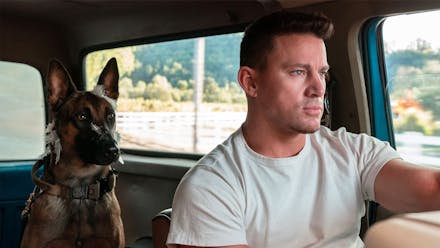 reviews on the movie dog Dog