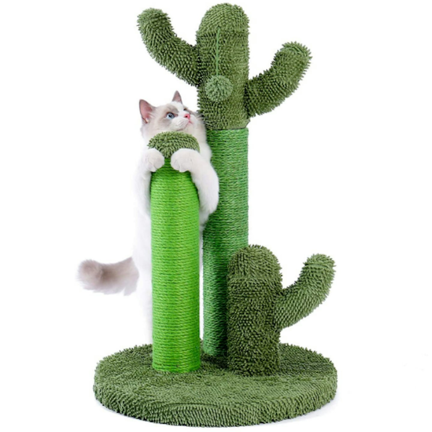 PAWZ Road Cactus Scratching Post