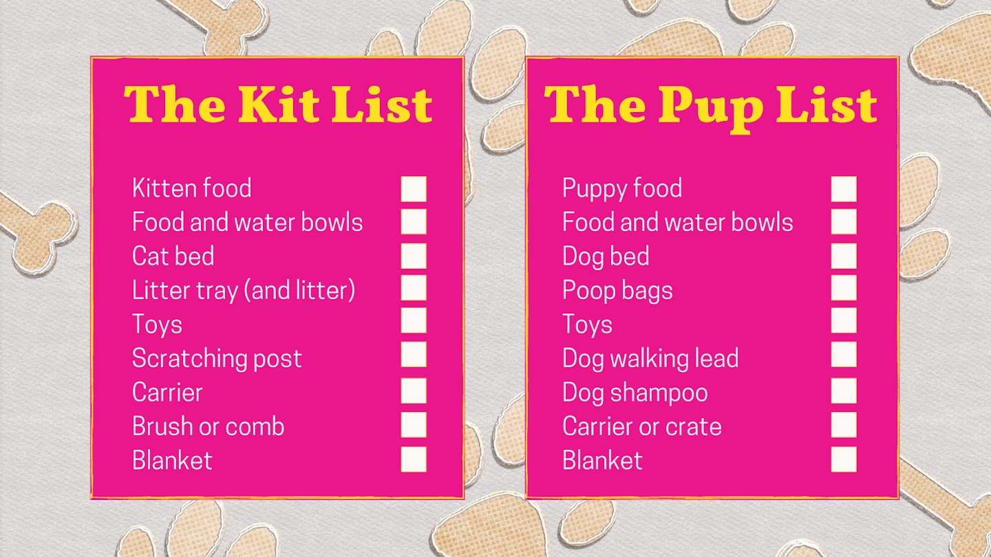 Best products to settle your pet