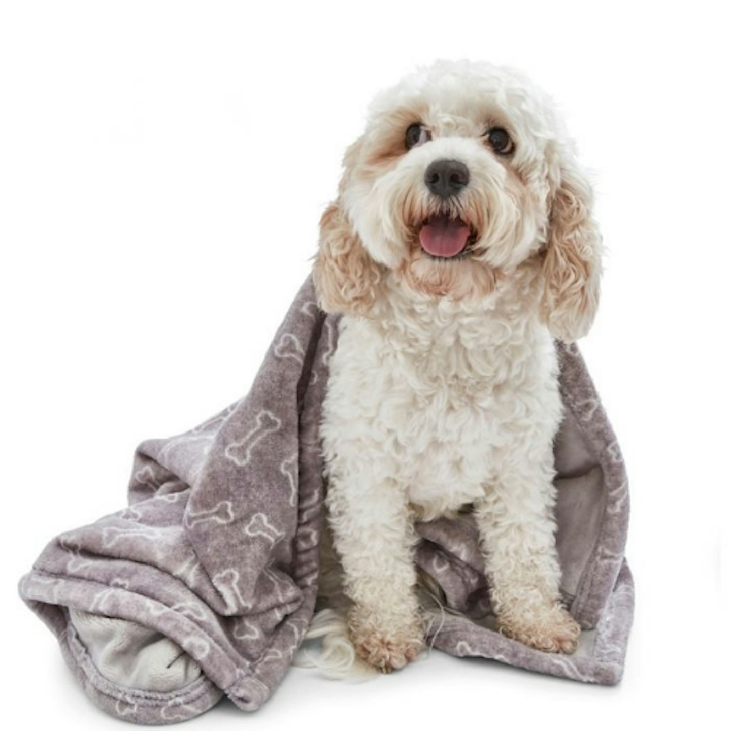 Blanket: Silentnight Waterproof Pet Blanket