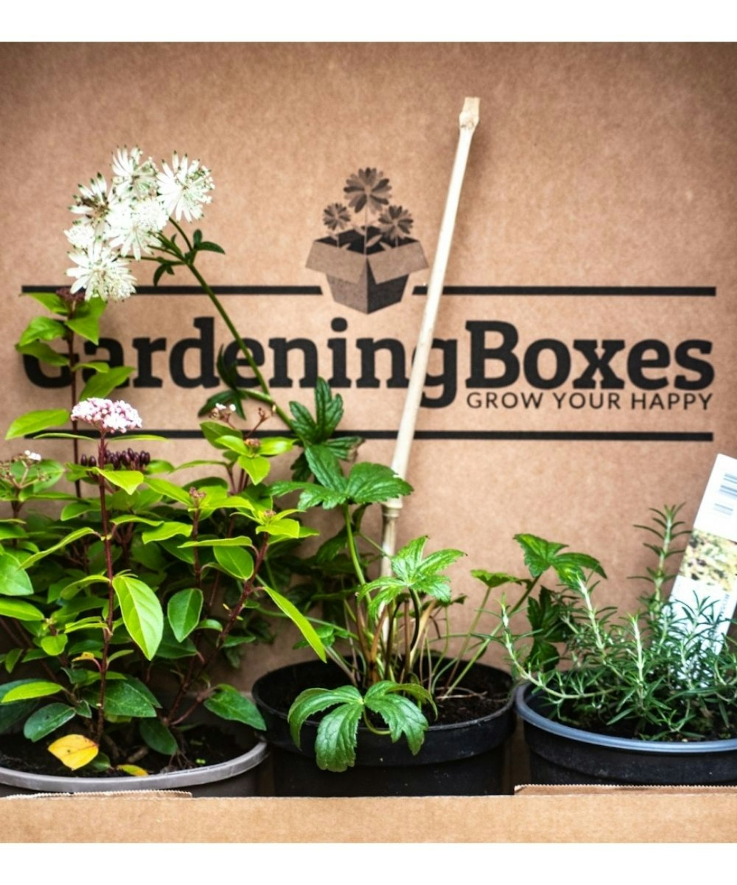 Gardening Boxes, £37 Per Box