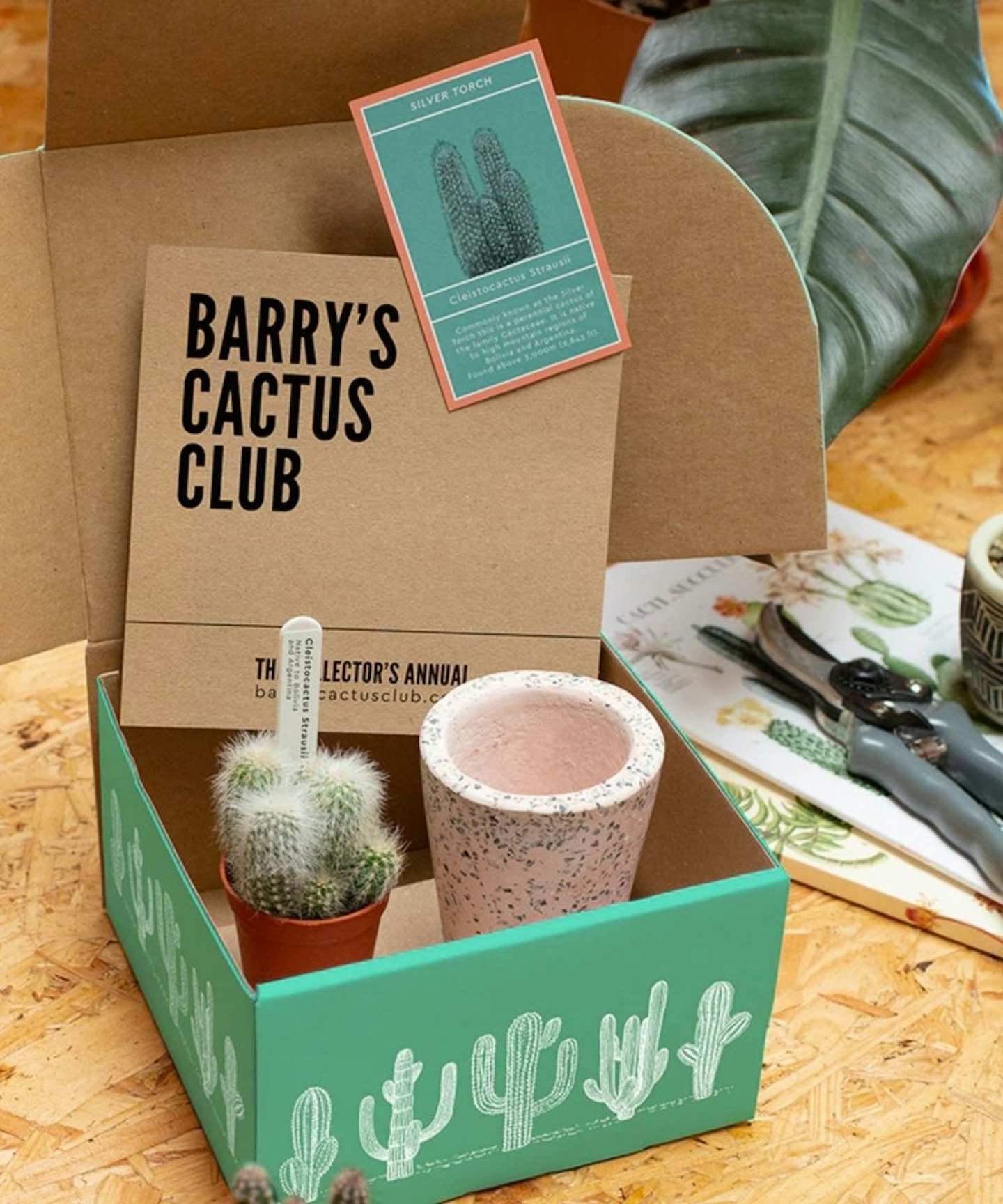 Barryu2019s Cactus Club, From £15