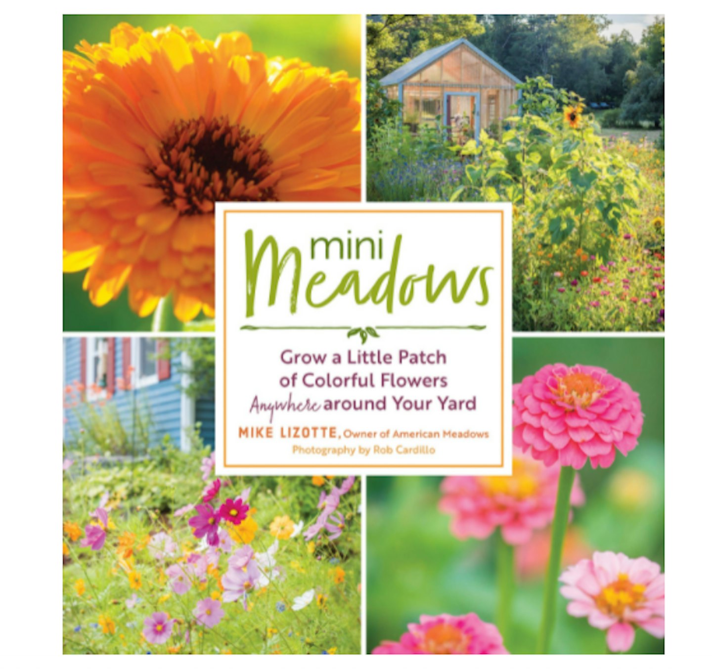Mini Meadows: Grow a Little Patch of Colorful Flowers Anywhere Around Your Yard