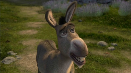 Donkey