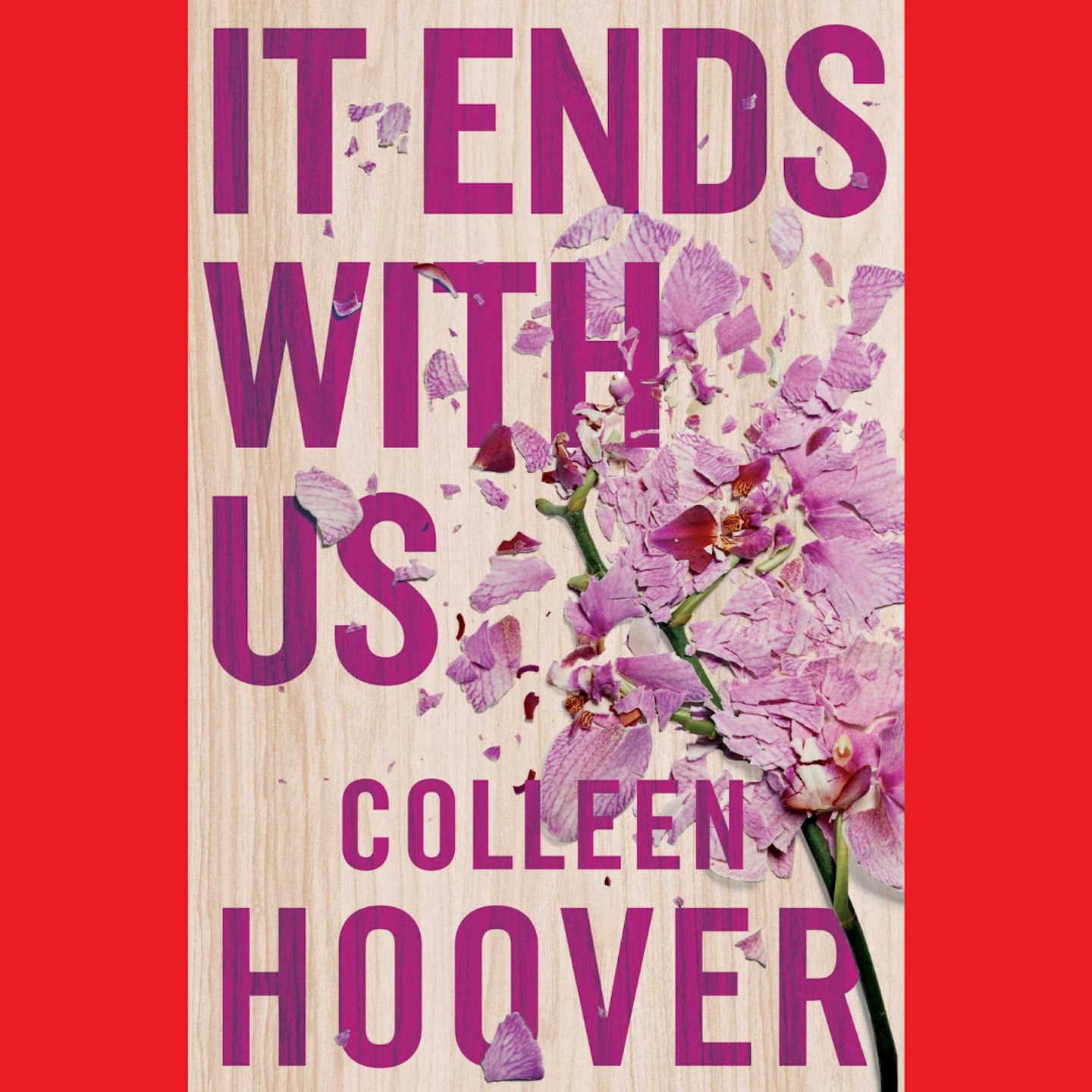 #BookTok It Ends With Us by Colleen Hoover