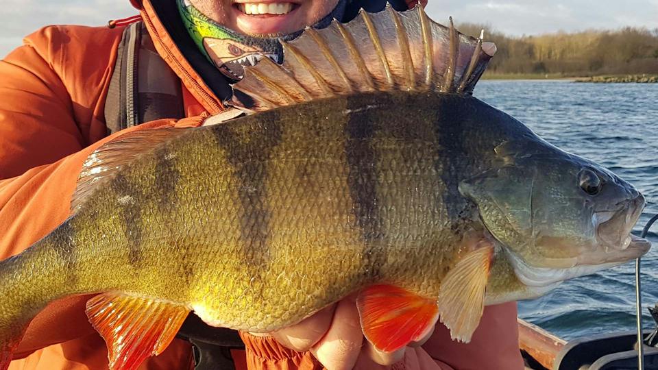 Sub Perch reservoir perch.jpg?format=jpg&quality=80&width=960&height=540&ratio=16 ...