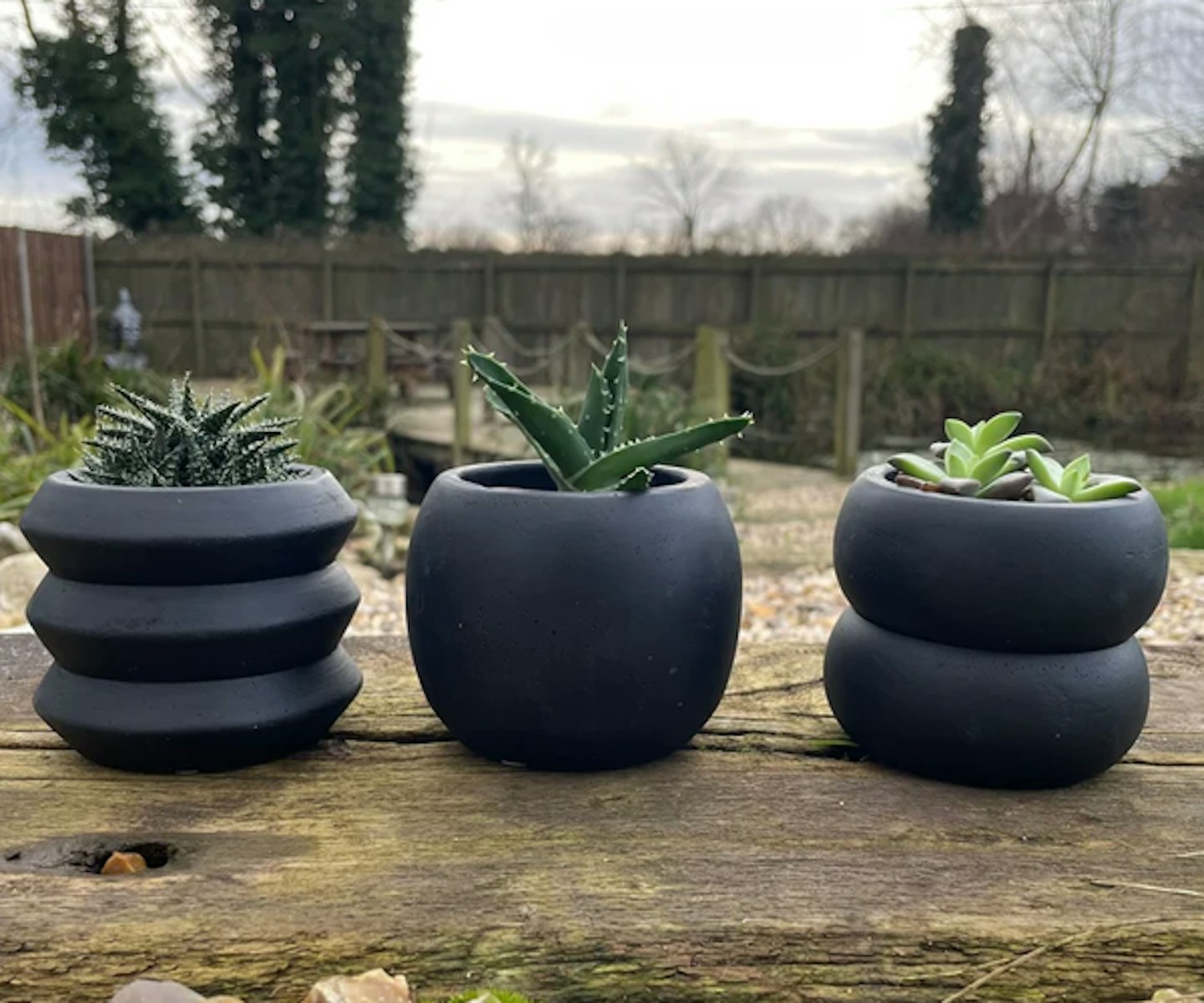 Succulent Pots by Sass & Belle