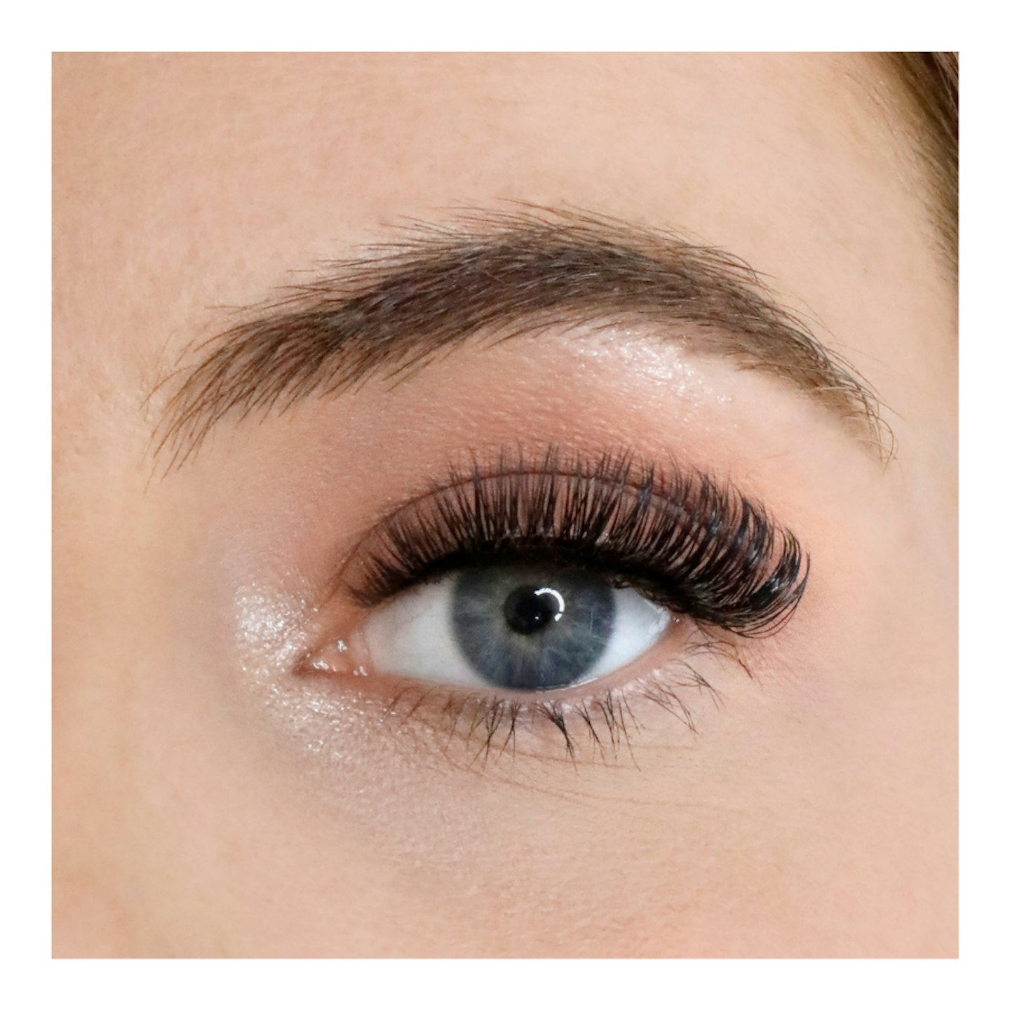 Goal Digger Russian Strip Lashes