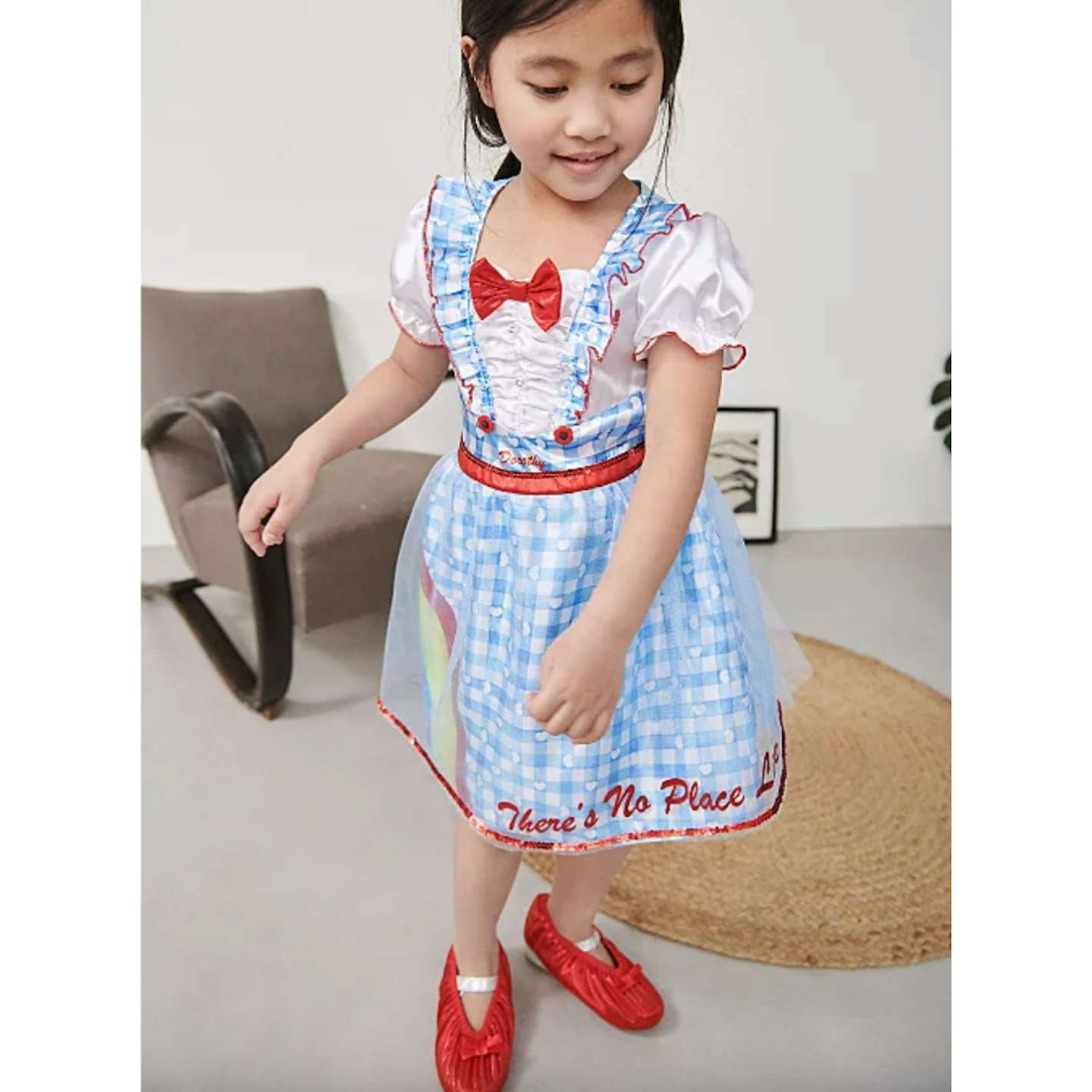 The Wizard of Oz Dorothy Fancy Dress Outfit