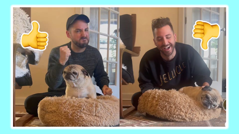 No Bones Day: what is the TikTok phenomenon? | Entertainment | Heat No Bones Day: what is the TikTok phenomenon? | Entertainment | Heat