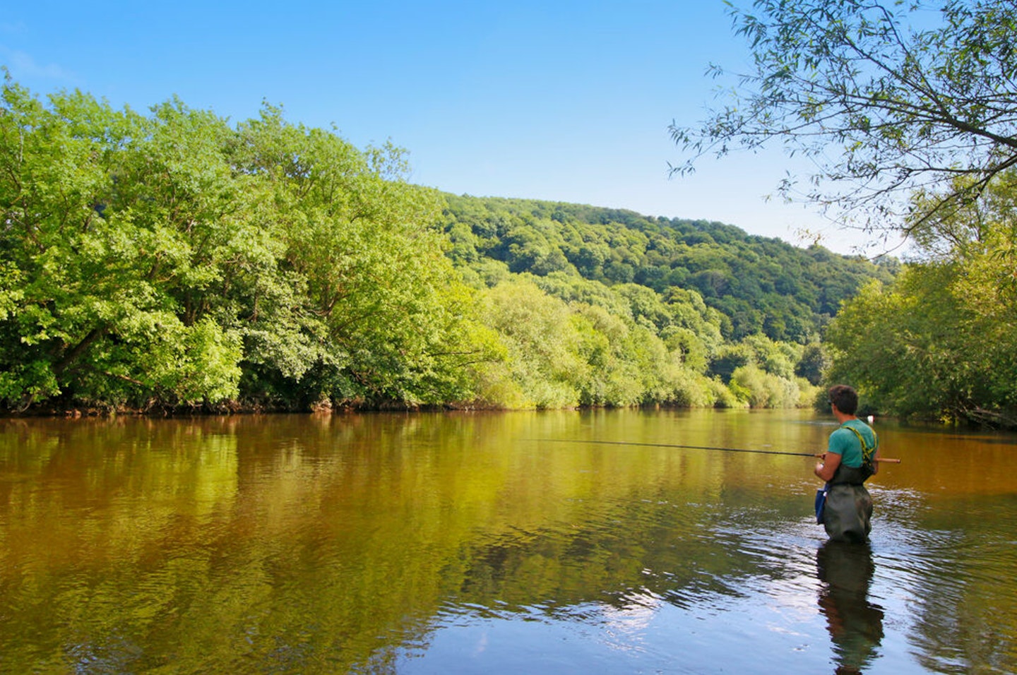 The River Wye offers top-notch coarse fishing in breathtaking surroundings