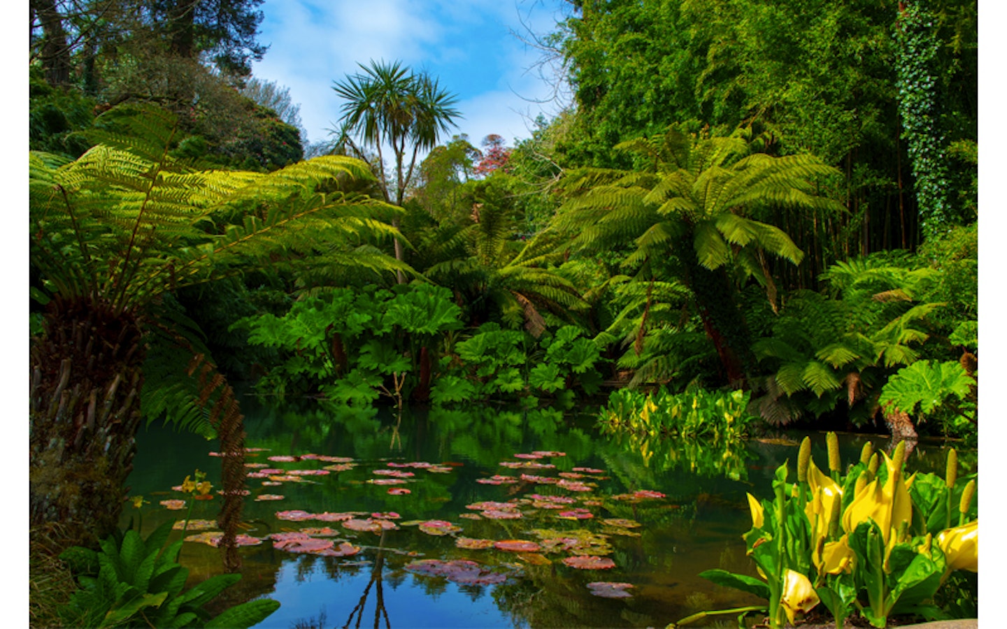 Lost Gardens of Heligan, Cornwall 