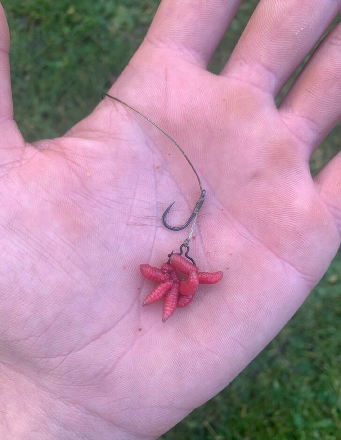 Maggots on a clip help deter the smaller fish