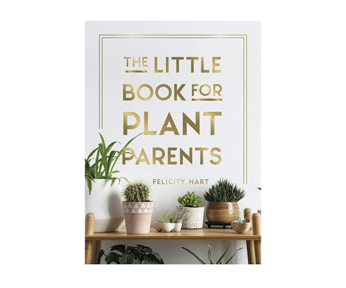 The Little Book for Plant Parents: Simple Tips to Help You Grow Your Own Urban Jungle Hardcover
