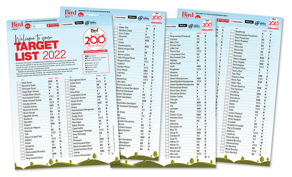 2022 Target list set.jpg?format=jpg&quality=80&width=960&height=540 ...