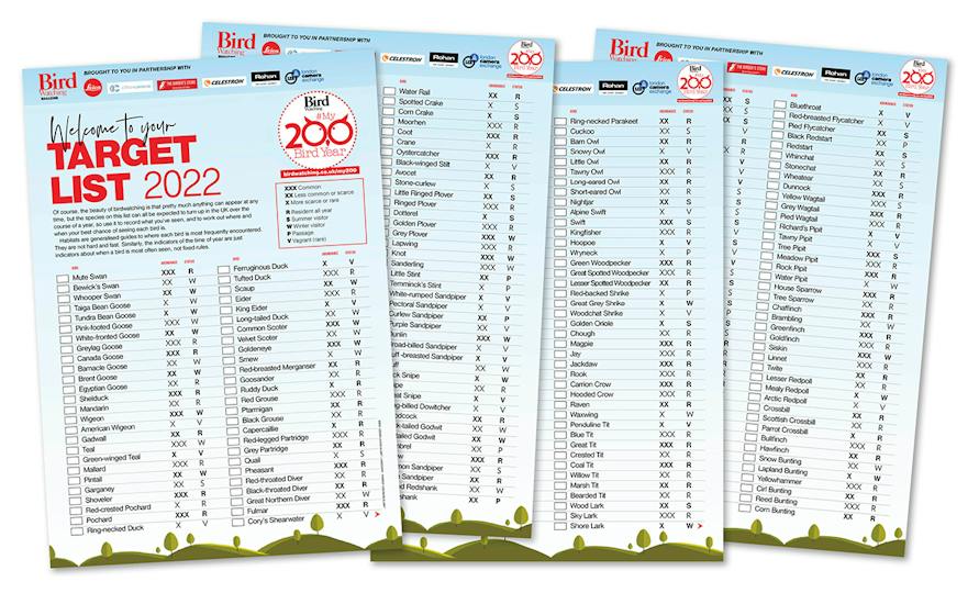 2022 Target list set.jpg?format=jpg&quality=80&width=960&height=540 ...