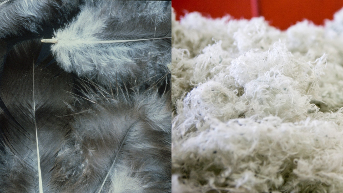 Down feathers and polyester fibres