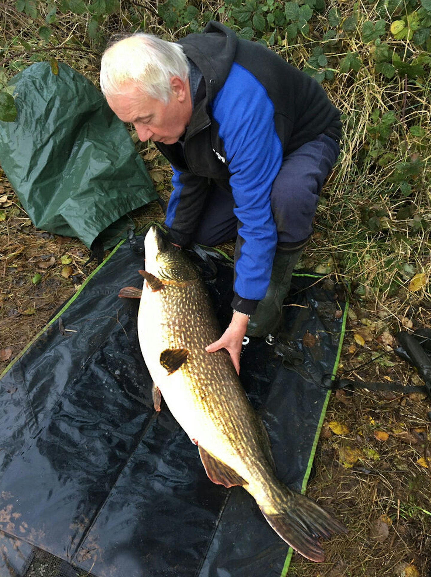 The huge pike is only the second ‘forty’ Nev has ever caught. He landed his first back in 1985 from the River Thurne, a 41lb 6oz fish that set a new British record at the time