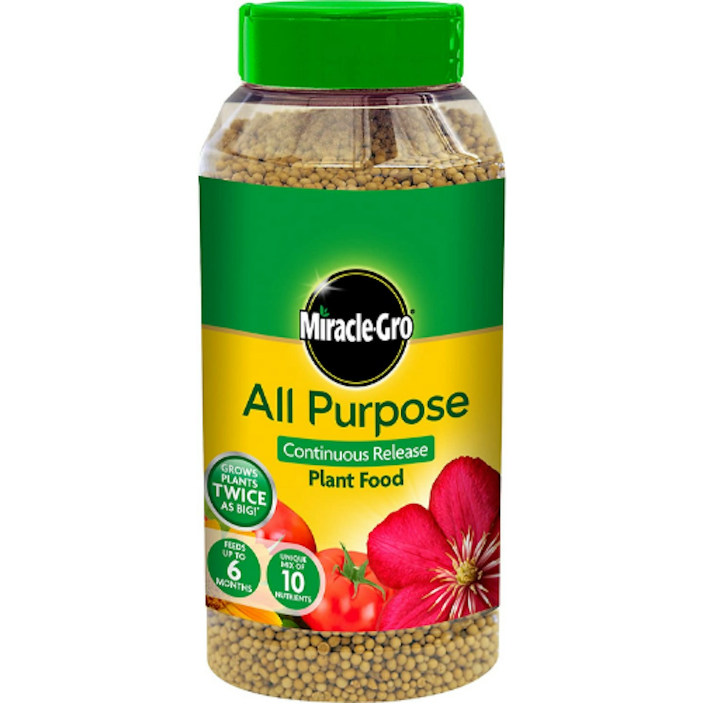 Miracle-Gro 17684 All Purpose Continuous Release Plant Food, 1kg