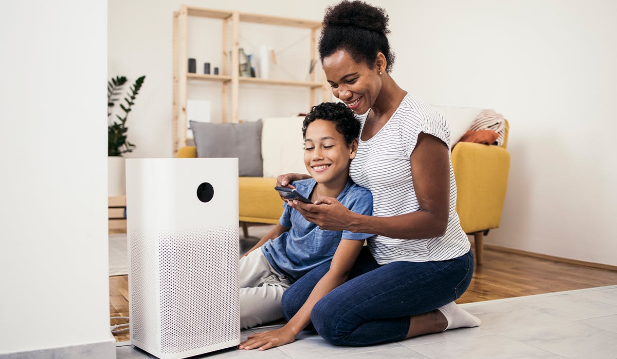 best air purifier for dust