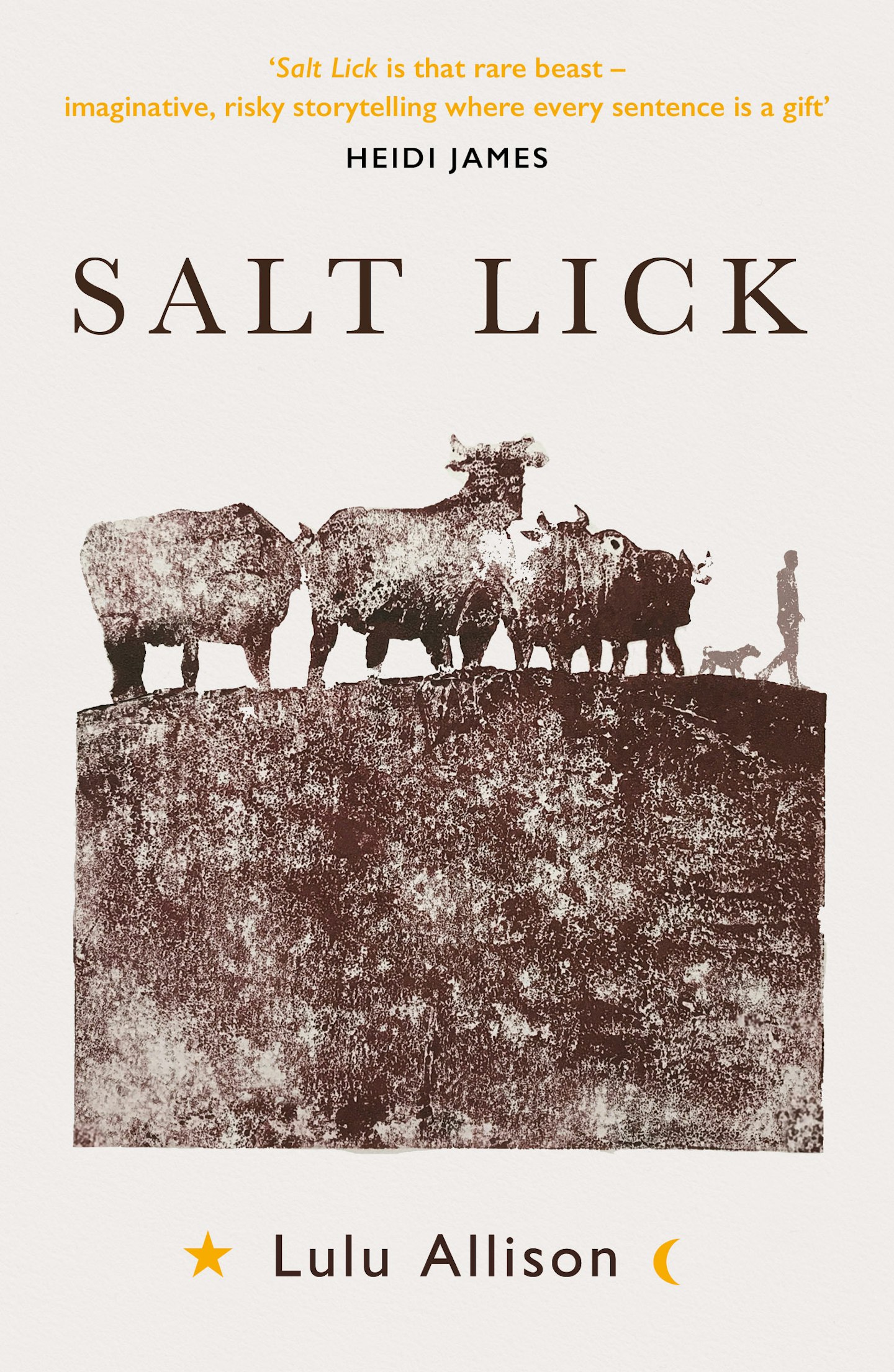 SALT LICK by Lulu Allison