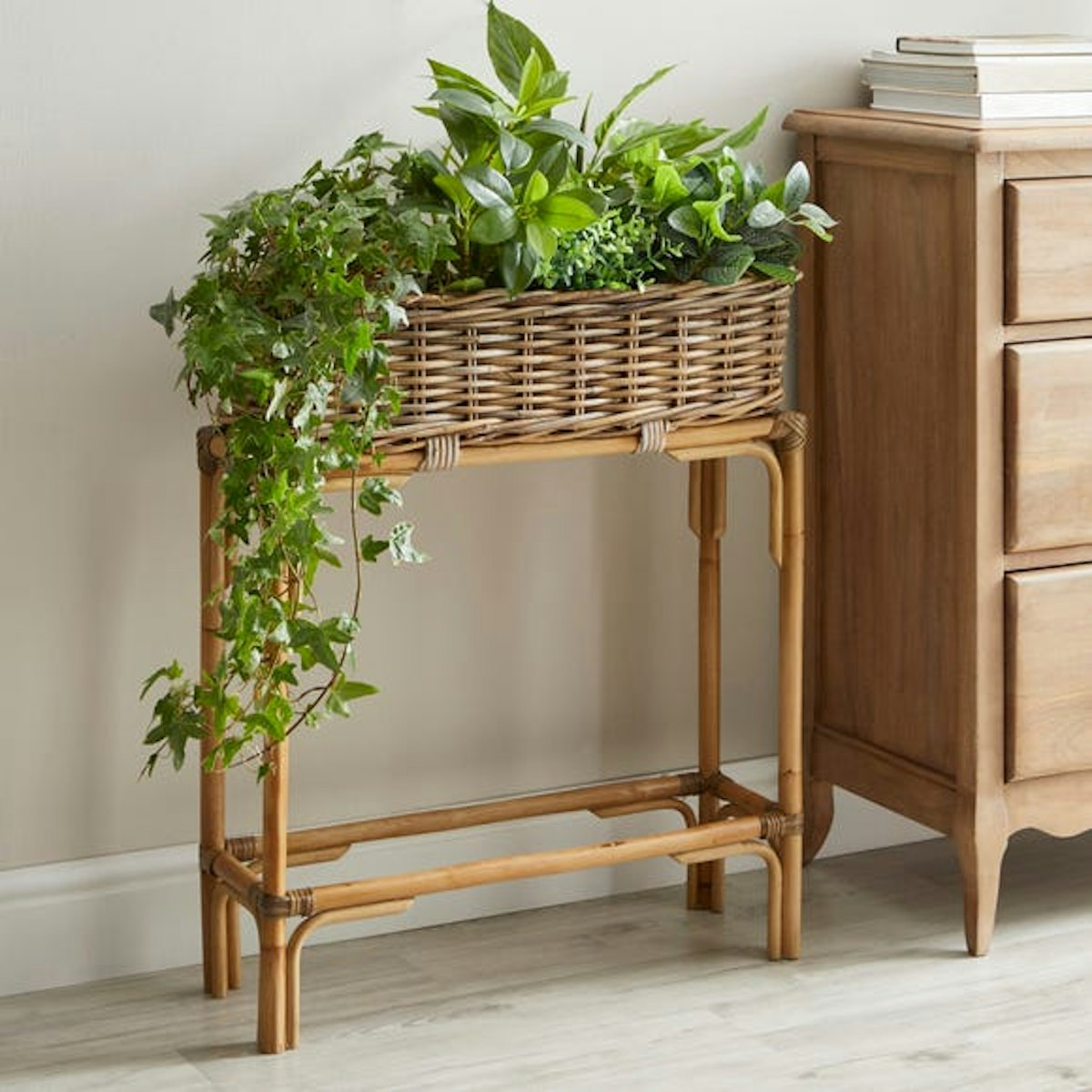 The Best Indoor Plant Stands UK 2022