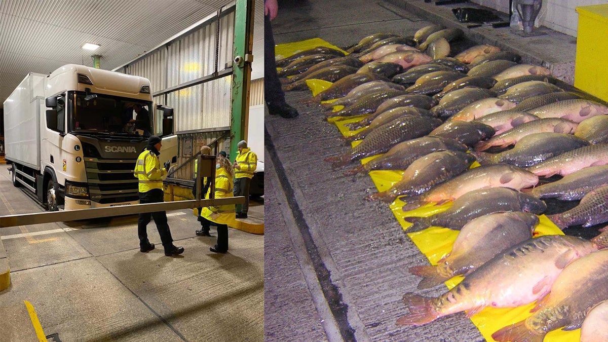 The murky world of the fish police! | Angling Times