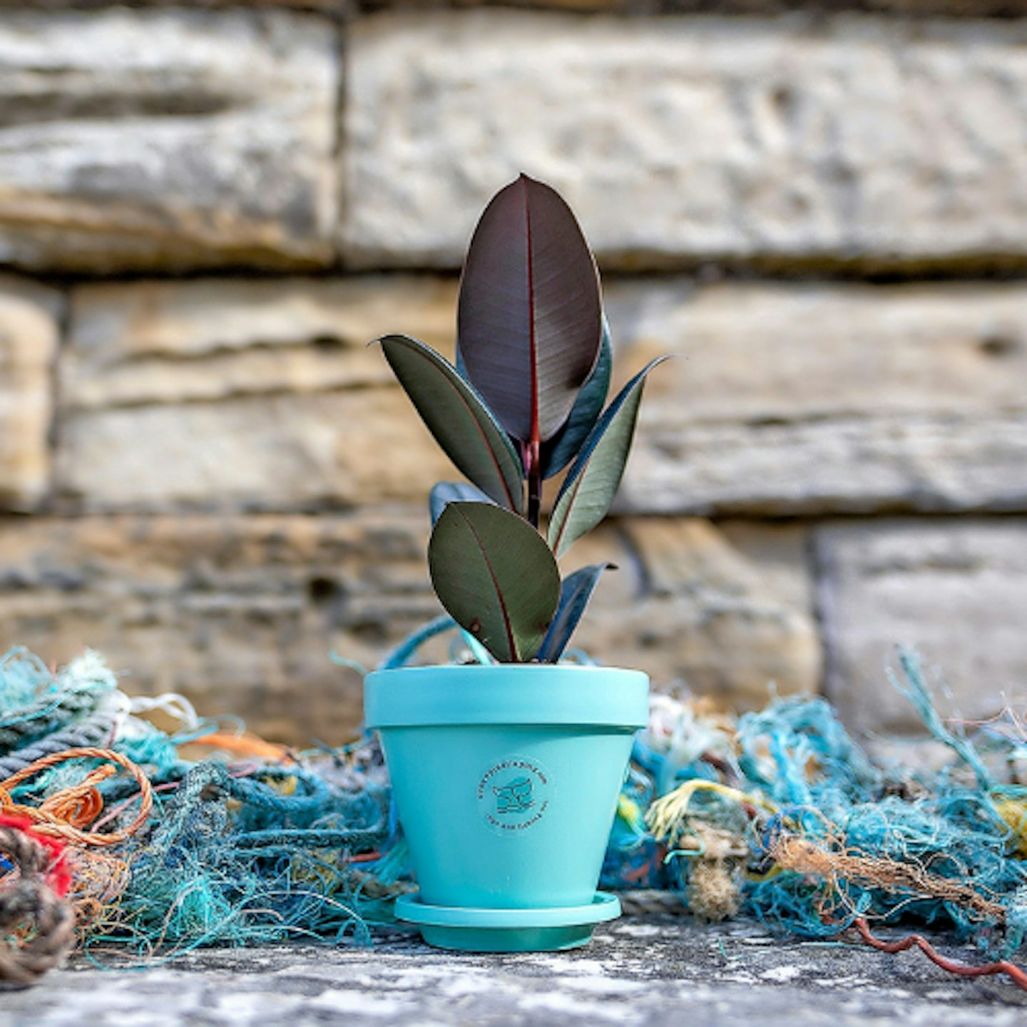 mint green eco plant pot