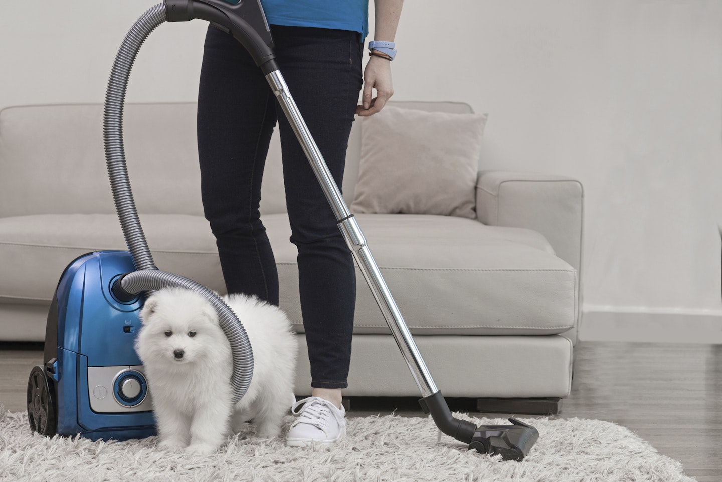 dog standing next to hoover