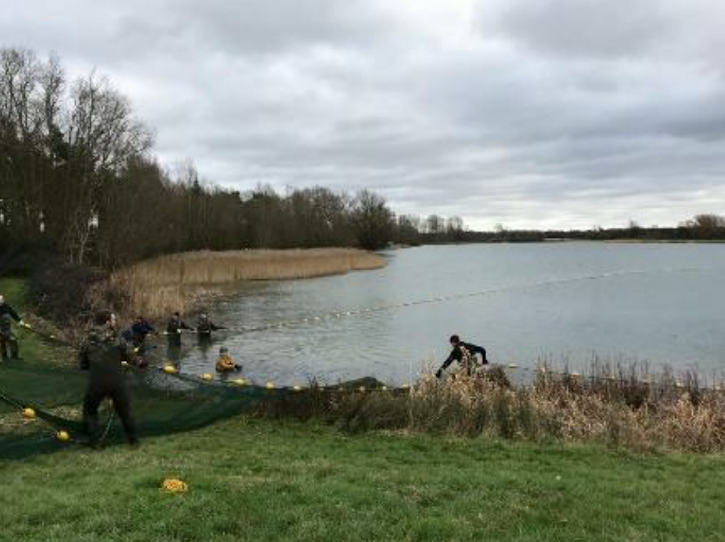 Veteran’s fishery making good progress 