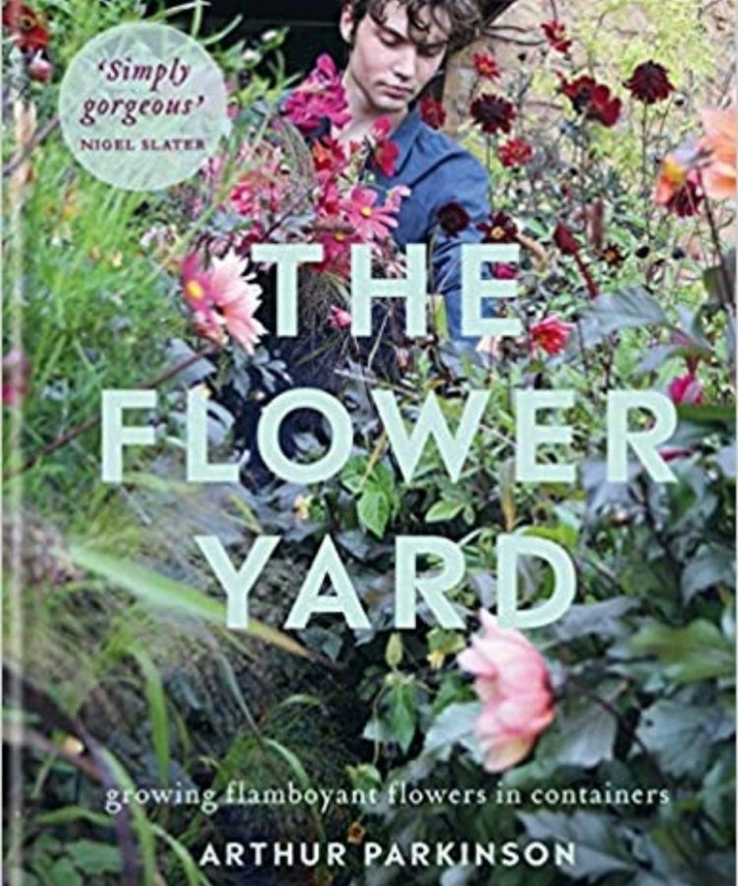 The Flower Yard: Growing Flamboyant Flowers in Containers