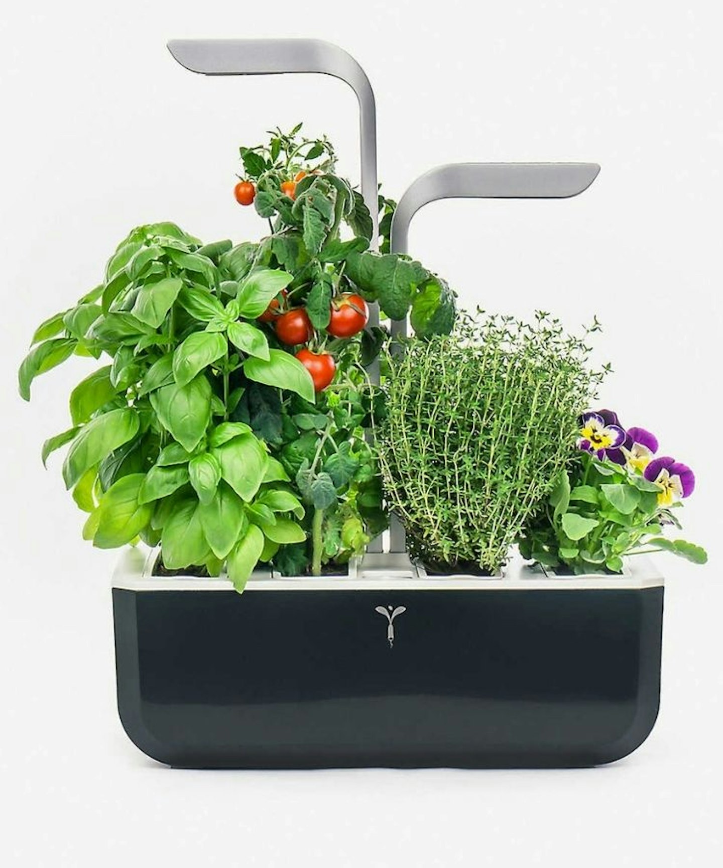 Smart Garden indoor planter