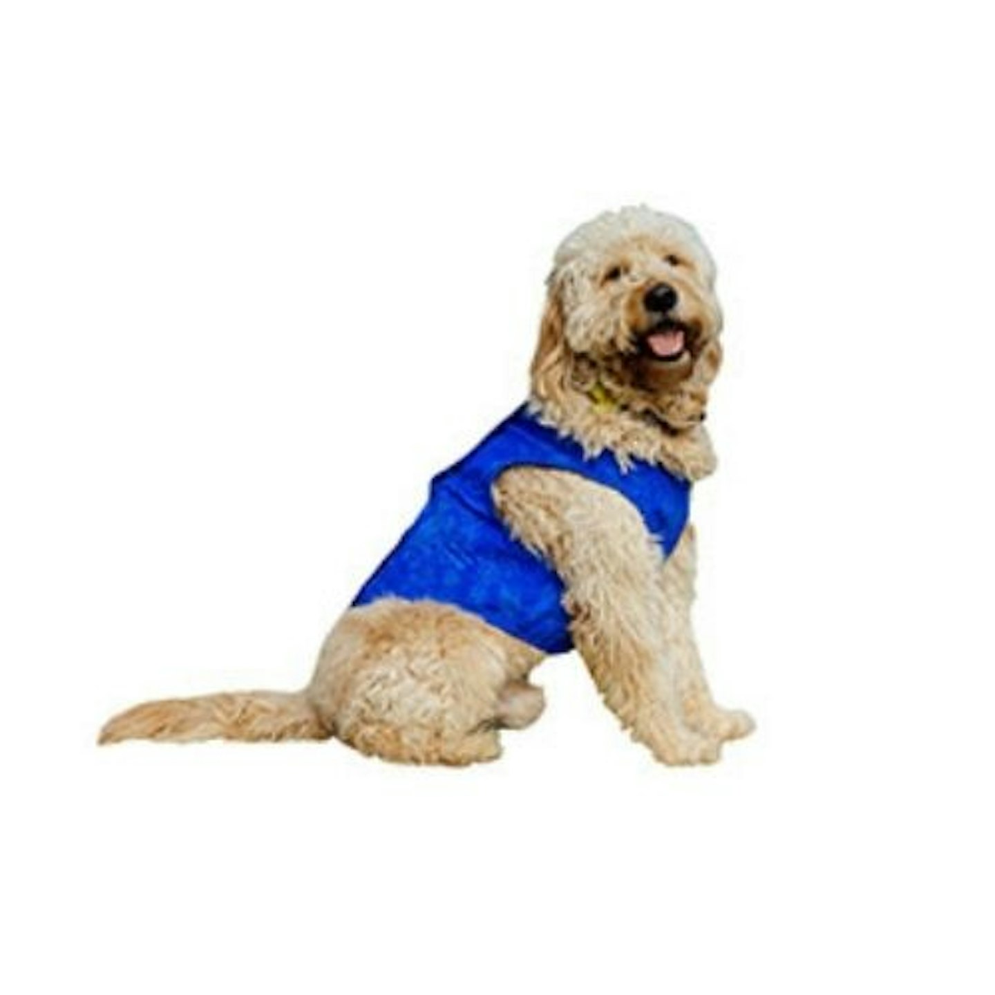 Cool Club Elastofit Ice Dog Vest Blue