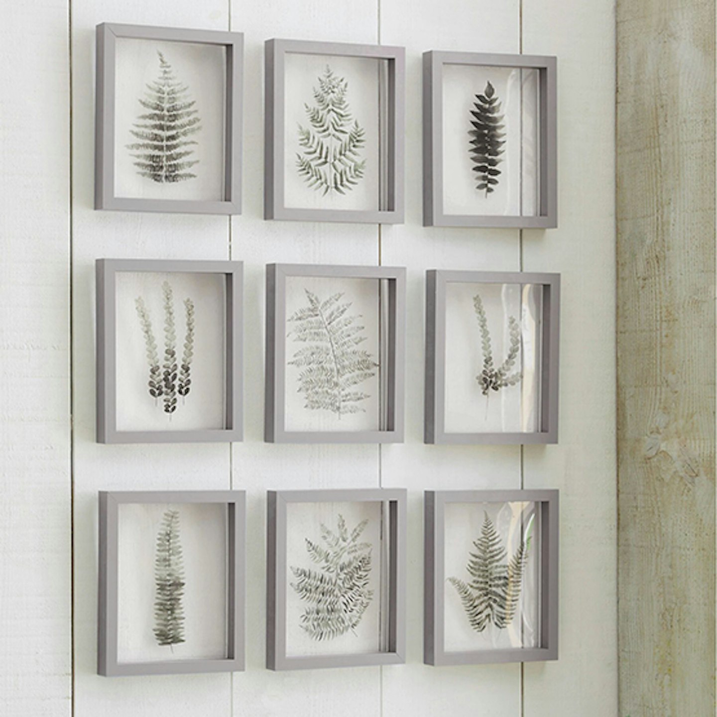 Set of 9 Floating Botanical Framed Art