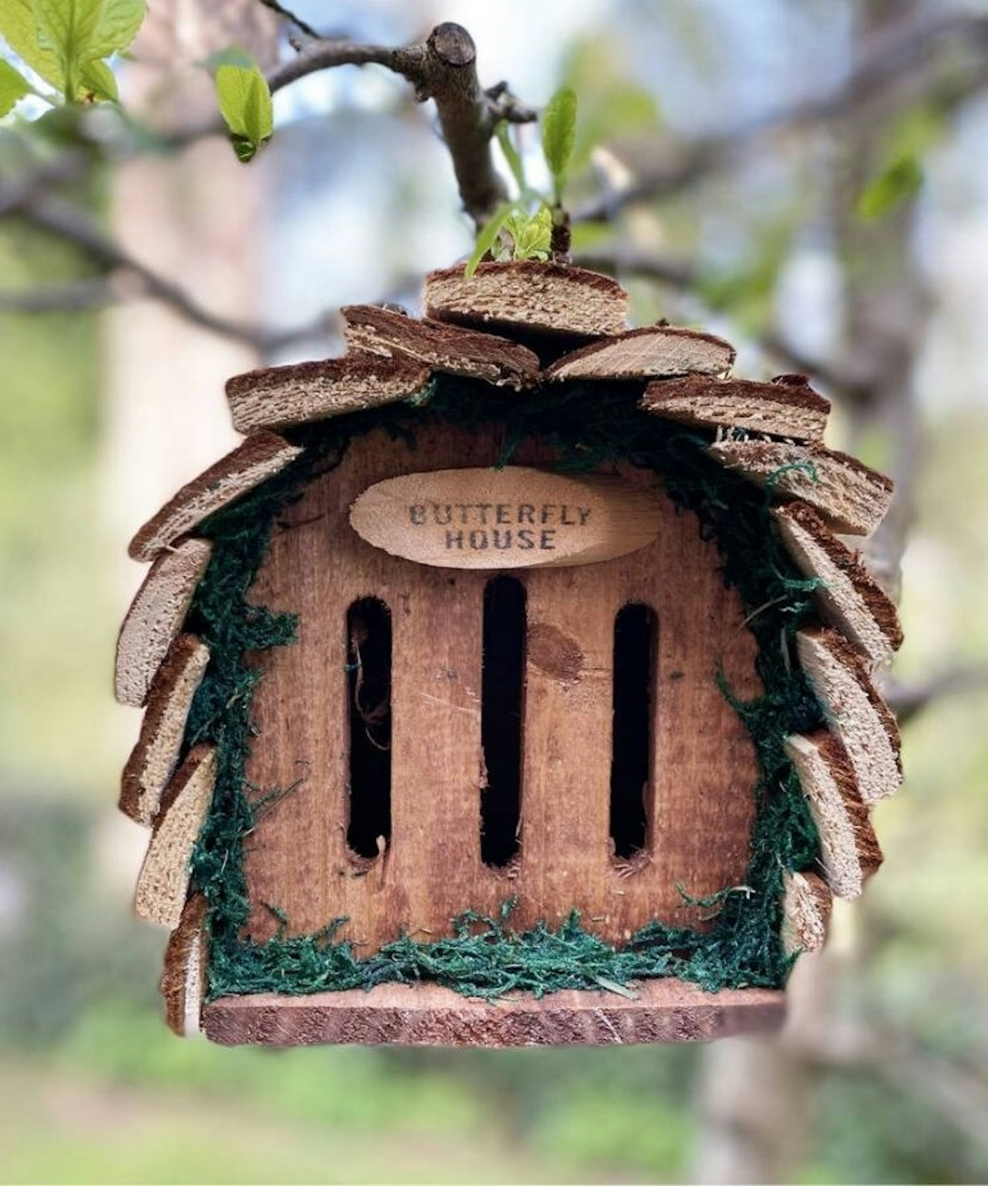 Wooden Hanging Butterfly House Habitat