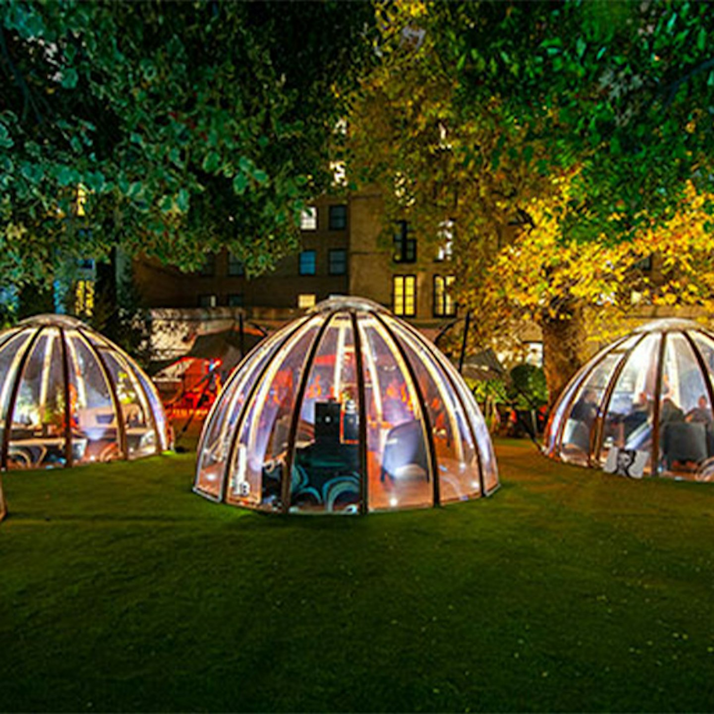 Afternoon Tea with Champagne for Two in The Domes at London Secret Garden Kensington