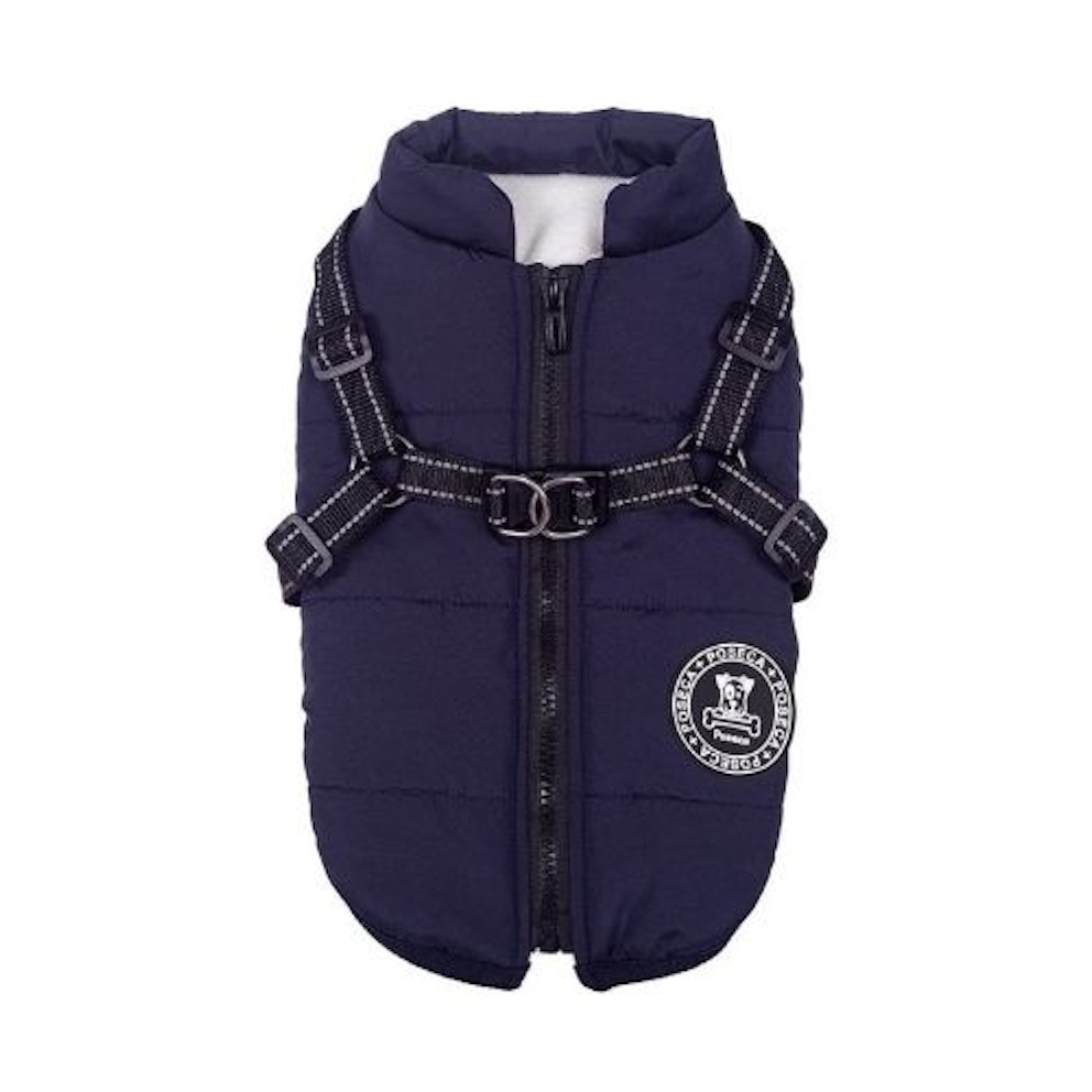 Best Aldi Dog Coats 2022